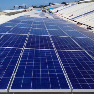 nature-spring-rooftop1