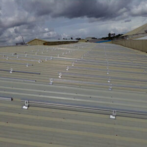 nature-spring-rooftop2