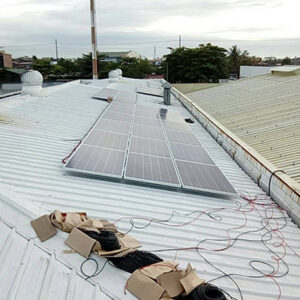 nature-spring-rooftop4